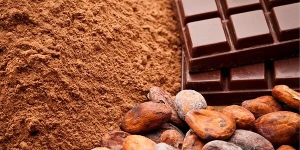 schokoladenmuseum auf klassenfahrt in köln